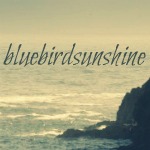 bluebirdsunshine